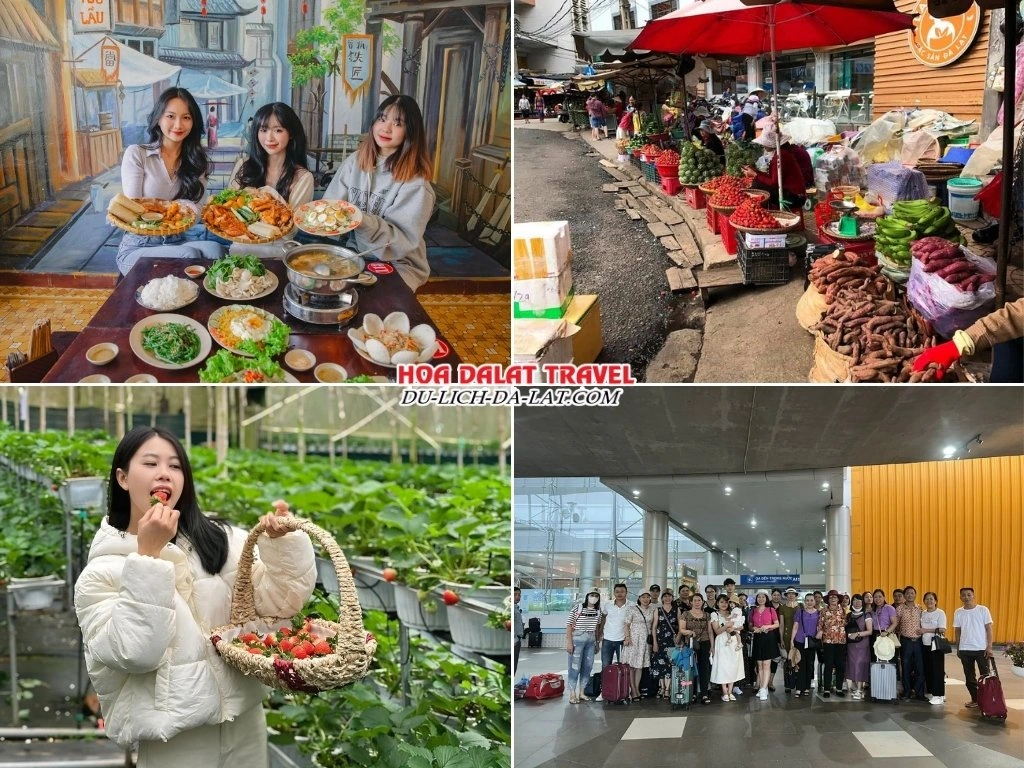 Lịch trình trưa và chiều ngày 2 tour Đà Lạt 2 ngày 1 đêm: Dùng bữa trưa, mua sắm ở chợ Đà Lạt, hái dâu tại vườn, ra sân bay