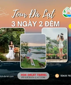 Tour Đà Lạt 3 ngày 2 đêm