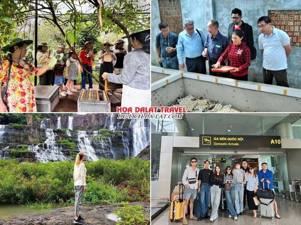 Lịch trình chiều ngày 4 tour Đà Lạt 4 ngày 3 đêm ghép đoàn tham quan Nông Trại Nuôi Ong, Trang Trại Nuôi Dế, Thác Pongour và ra sân bay rời Đà Lạt