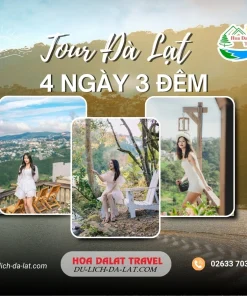 Tour Đà Lạt 4 Ngày 3 Đêm