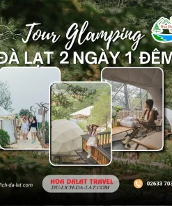 Tour glamping Đà Lạt 2 ngày 1 đêm