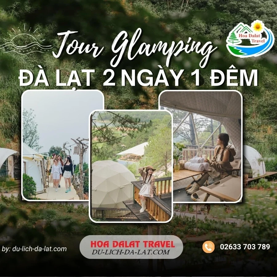 Tour glamping Đà Lạt 2 ngày 1 đêm