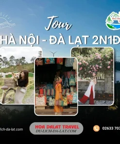 Tour Hà Nội Đà Lạt 2 ngày 1 đêm