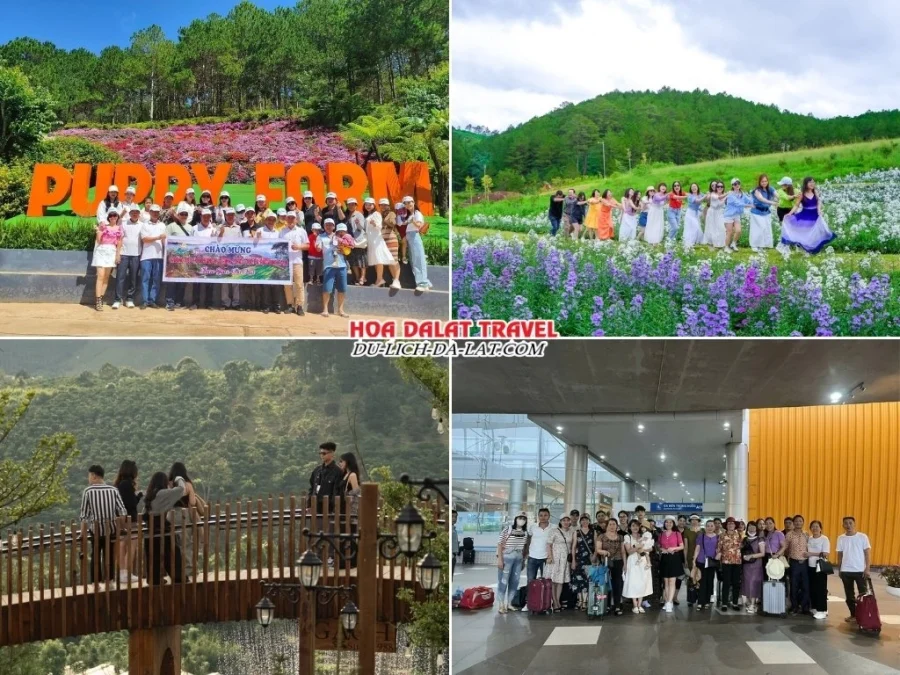 Lịch trình ngày 2 tour du lịch Hà Nội Đà Lạt 2 ngày 1 đêm cho khách đoàn tham quan Puppy Farm, The Florest, Gạch Since 1988 và rời Đà Lạt