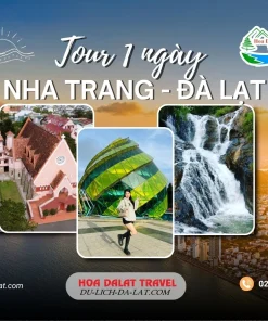 Tour Nha Trang Đà Lạt 1 ngày