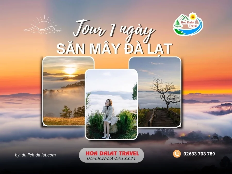 Tour săn mây Đà Lạt