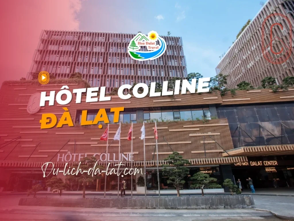 Hôtel Colline Đà Lạt