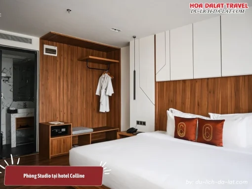 Phòng Studio tại Hôtel Colline với thiết kế hiện đại, không gian mở rộng rãi và tiện nghi đầy đủ, lý tưởng cho kỳ nghỉ hoặc chuyến công tác