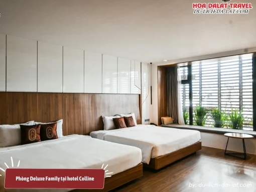 Phòng Deluxe Family tại Hôtel Colline với không gian rộng rãi, thiết kế ấm cúng và tiện nghi hiện đại, hoàn hảo cho kỳ nghỉ gia đình