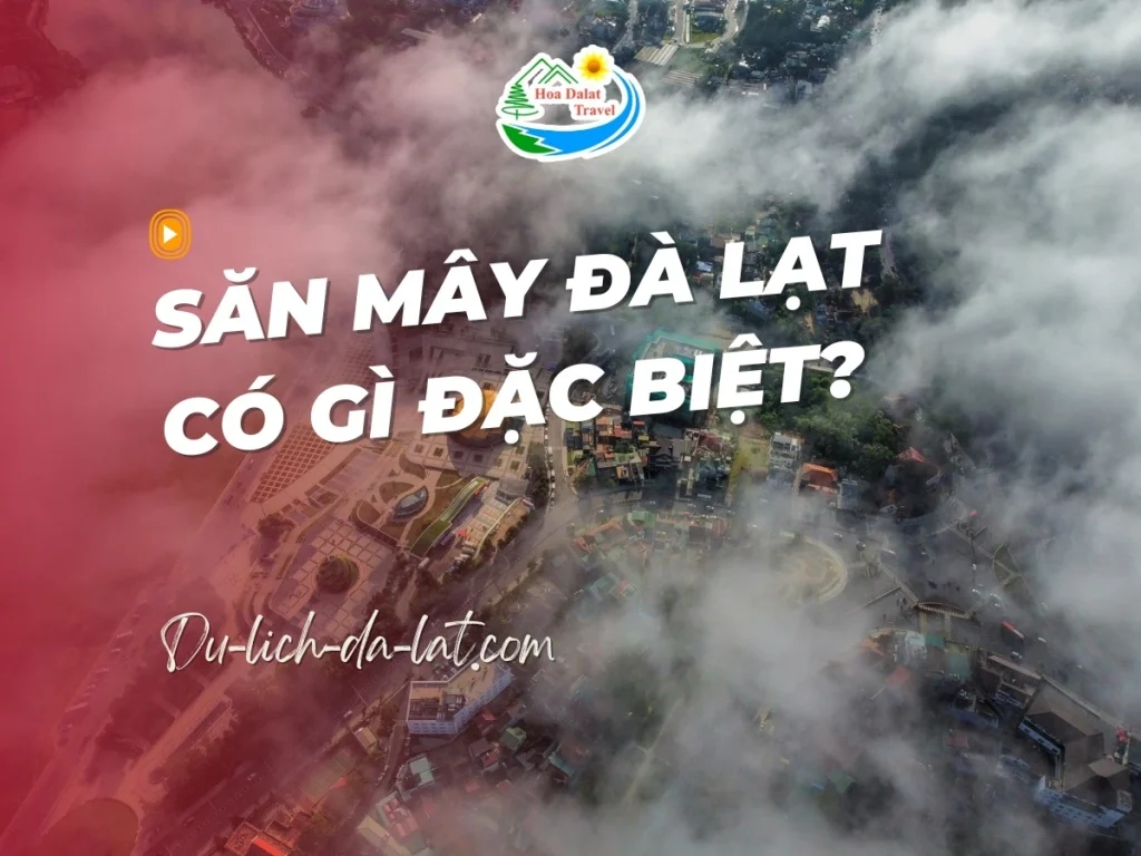 Săn mây Đà Lạt có gì đặc biệt