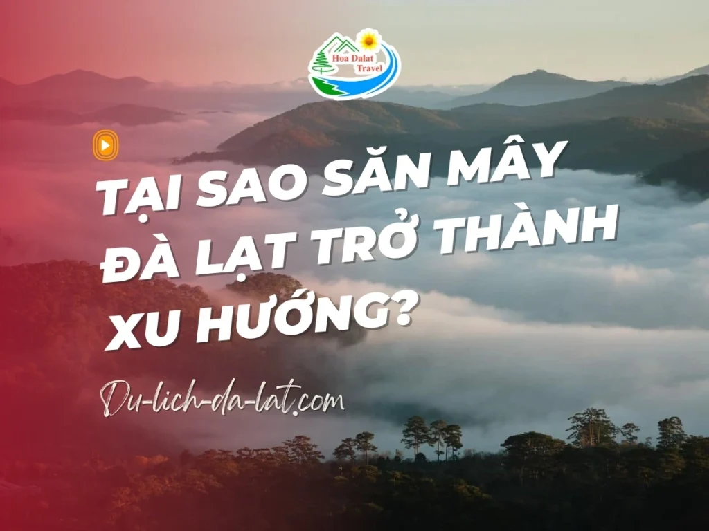 Tại sao săn mây Đà Lạt trở thành xu hướng