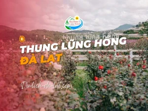 Thung Lũng Hồng Đà Lạt