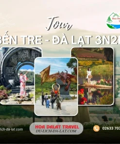 Tour Bến Tre Đà Lạt 3 ngày 2 đêm