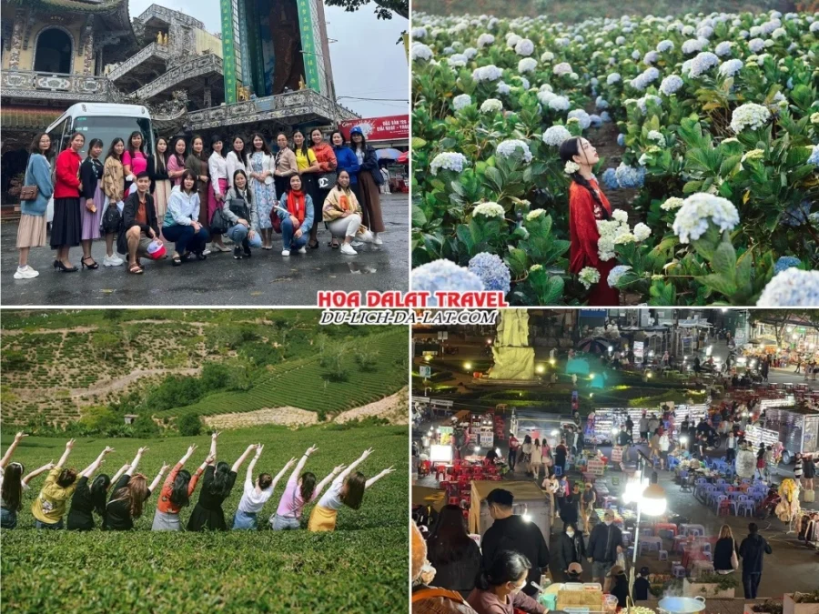 Lịch trình chiều ngày 1 trình tour Bến Tre Đà Lạt 3N2Đ trọn gói khám phá Chùa Ve Chai, Vườn hoa Cẩm Tú Cầu, Đồi chè Cầu Đất Farm, khám phá Đà Lạt về đêm