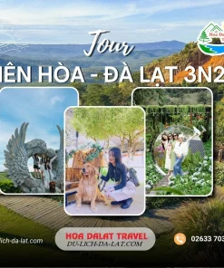 Tour Biên Hòa Đà Lạt 3 ngày 2 đêm