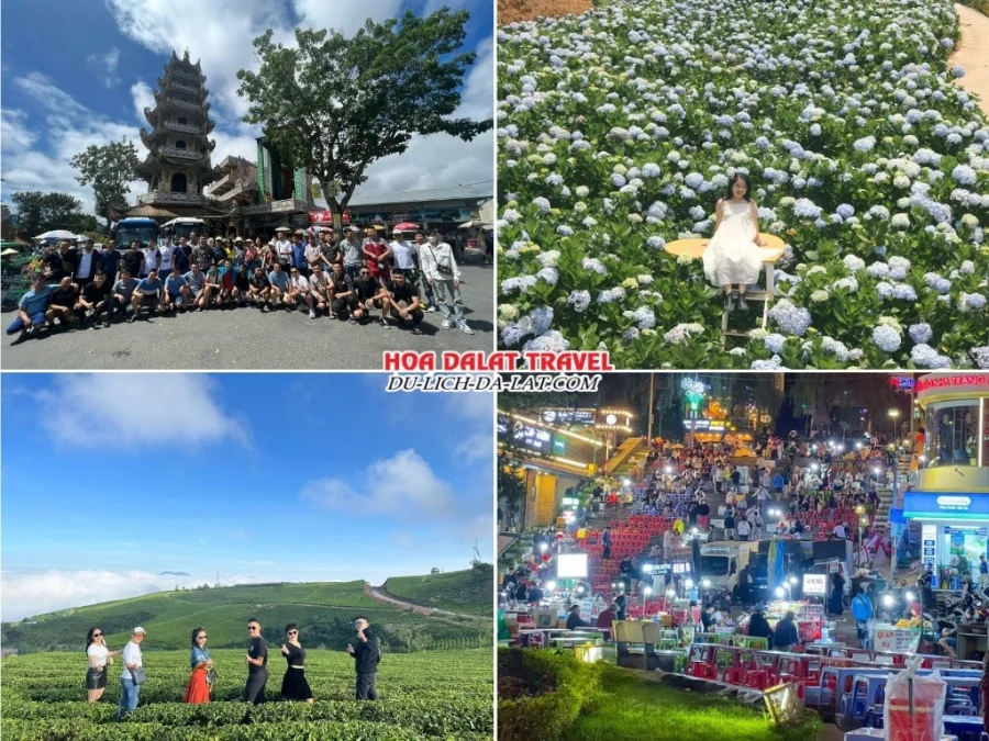 Lịch trình chiều ngày 1 tour Biên Hòa Đà Lạt 3N2Đ trọn gói tham quan Chùa Linh Phước, Đồi chè Cầu Đất, tham quan chợ đêm Đà Lạt