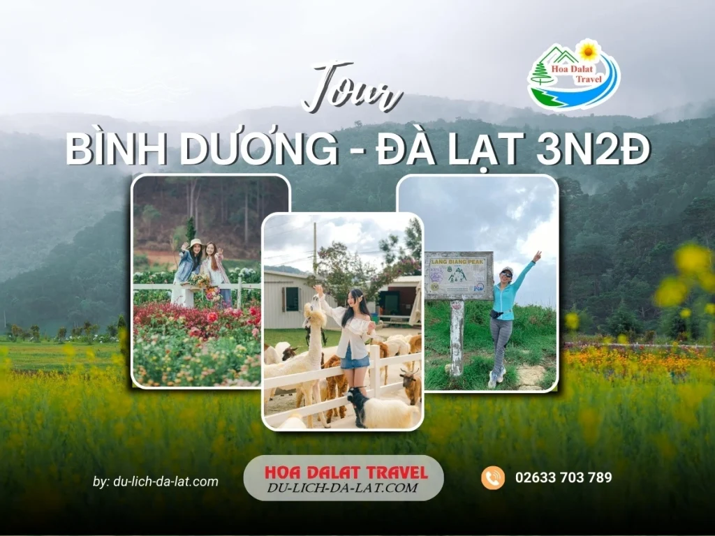 Tour Bình Dương Đà Lạt 3 ngày 2 đêm