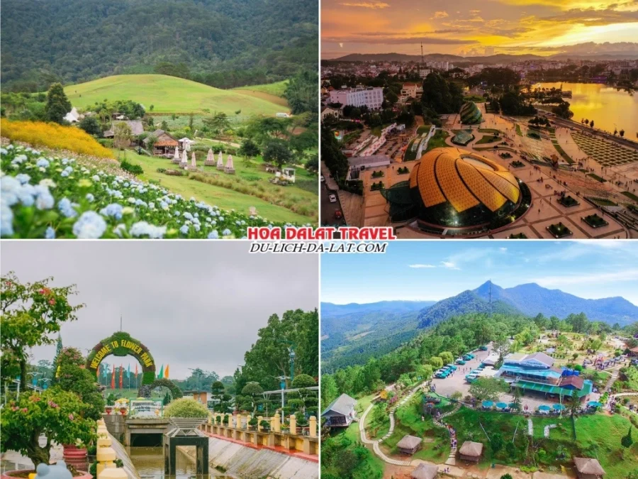 Những điểm đến thú vị có trong tour Bình Dương Đà Lạt 3 ngày 2 đêm như The Florest, quảng trường Lâm Viên, vườn hoa thành phố Đà Lạt, Langbiang