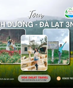 Tour Bình Dương Đà Lạt 3 ngày 2 đêm