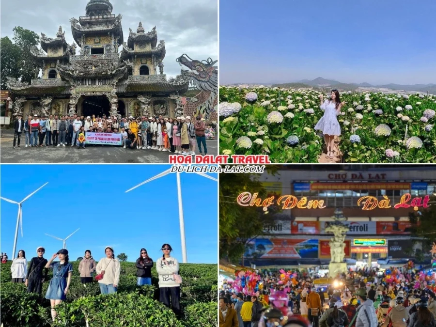 Lịch trình chiều ngày 1 tour Bình Dương Đà Lạt 3N2Đ trọn gói tham quan Chùa Linh Phước, Vườn hoa Cẩm Tú Cầu, Đồi chè Cầu Đất, khám phá khu vực chợ đêm Đà Lạt