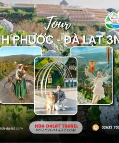 Tour Bình Phước Đà Lạt 3 ngày 2 đêm