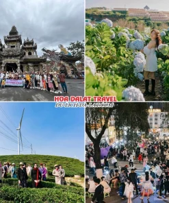 Lịch trình chiều ngày 1 tour Bình Phước Đà Lạt 3N2Đ trọn gói tham quan Chùa Ve Chai, Cánh đồng hoa Cẩm Tú Cầu, Đồi chè Cầu Đất, khám phá thành phố Đà Lạt về đêm