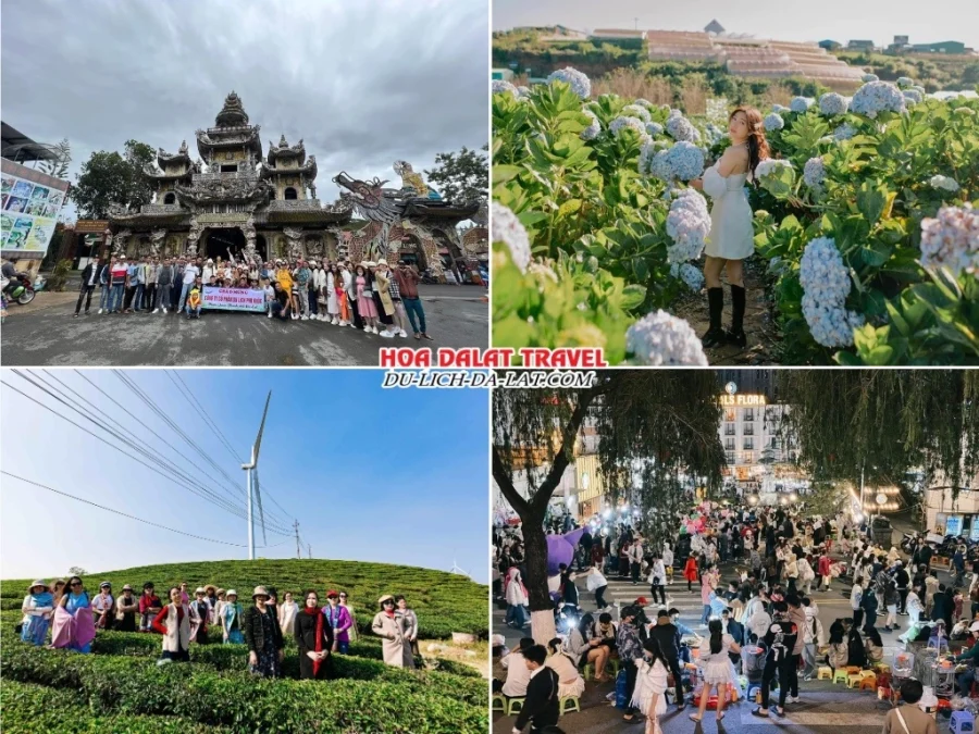 Lịch trình chiều ngày 1 tour Bình Phước Đà Lạt 3N2Đ trọn gói tham quan Chùa Ve Chai, Cánh đồng hoa Cẩm Tú Cầu, Đồi chè Cầu Đất, khám phá thành phố Đà Lạt về đêm