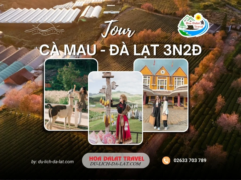 Tour Cà Mau Đà Lạt 3 ngày 2 đêm