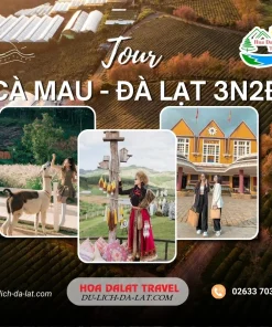 Tour Cà Mau Đà Lạt 3 ngày 2 đêm