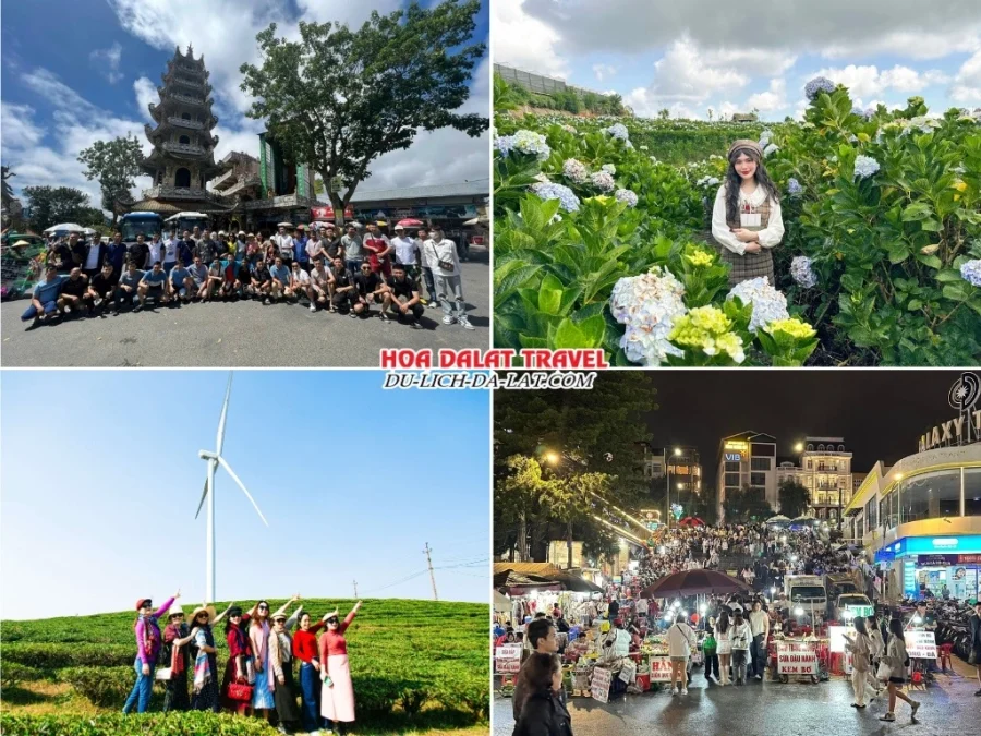 Lịch trình chiều ngày 1 tour Bình Dương Đà Lạt 3N2Đ trọn gói tham quan Chùa Linh Phước, Vườn hoa Cẩm Tú Cầu, Đồi chè Cầu Đất, dùng bữa tối tại nhà hàng