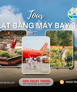 Tour Đà Lạt bằng máy bay 3 ngày 2 đêm