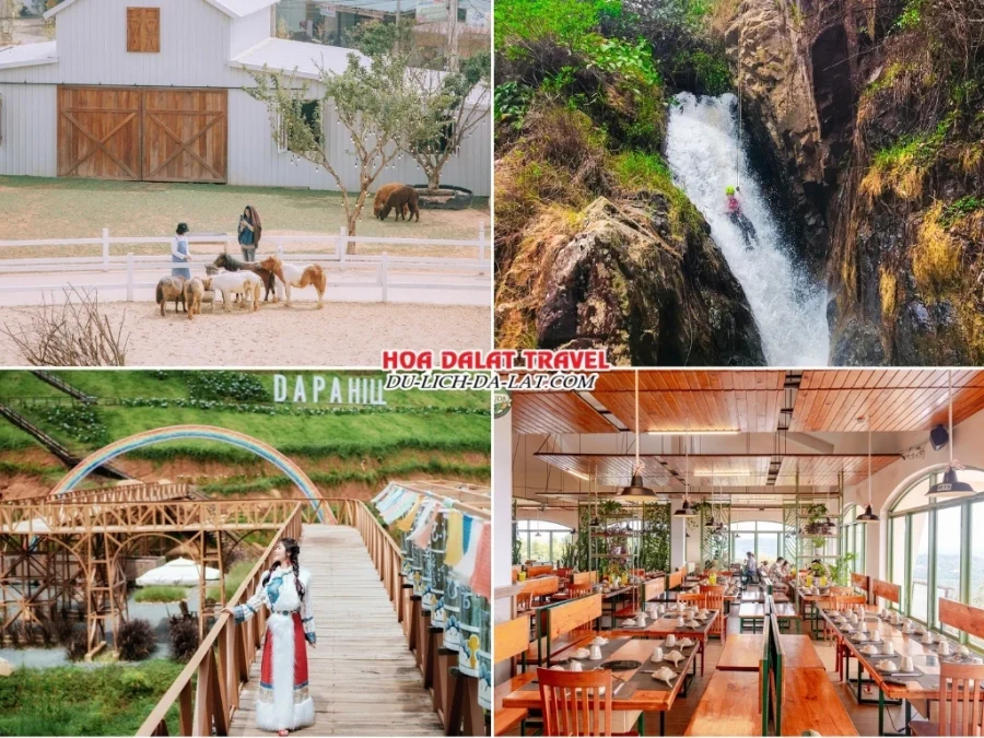 Các điểm đến nổi bật của chương trình tour Đà Lạt đi xe giường nằm: Nông trại cún Puppy Farm, Thác Datanla, Dapa Hills, nhà hàng Leguda