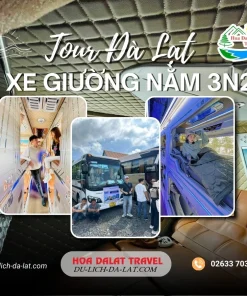 Tour Đà Lạt đi xe giường nằm 3 ngày 2 đêm