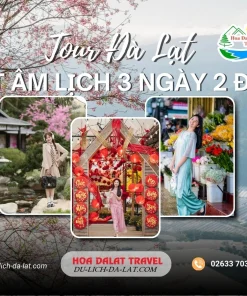 Tour Đà Lạt Tết Âm Lịch 3 ngày 2 đêm