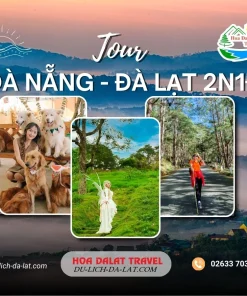 Tour Đà Nẵng Đà Lạt 2 ngày 1 đêm