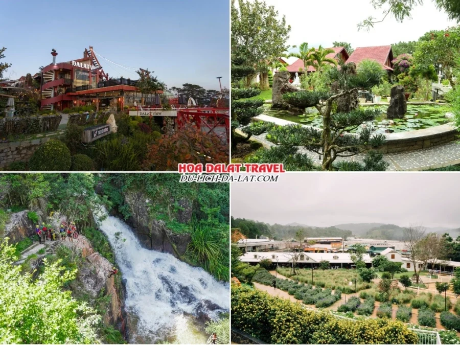 Tour 3 ngày 2 đêm Đà Nẵng - Đà Lạt trọn gói và ghép đoàn của Du-Lich-Da-Lat Com tham quan Dalat View, Thiền Viện Trúc Lâm, Thác Datanla, Puppy Farm