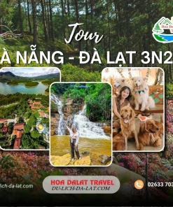 Tour Đà Nẵng Đà Lạt 3 ngày 2 đêm