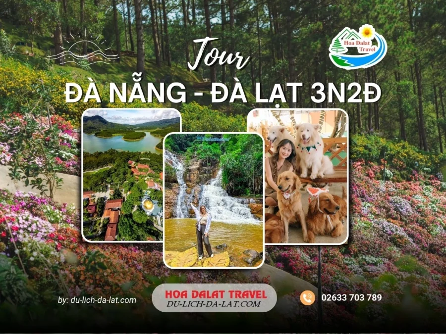 Tour Đà Nẵng Đà Lạt 3 ngày 2 đêm