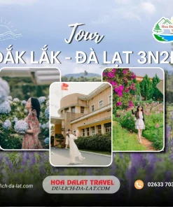 Tour Đắk Lắk Đà Lạt 3 ngày 2 đêm