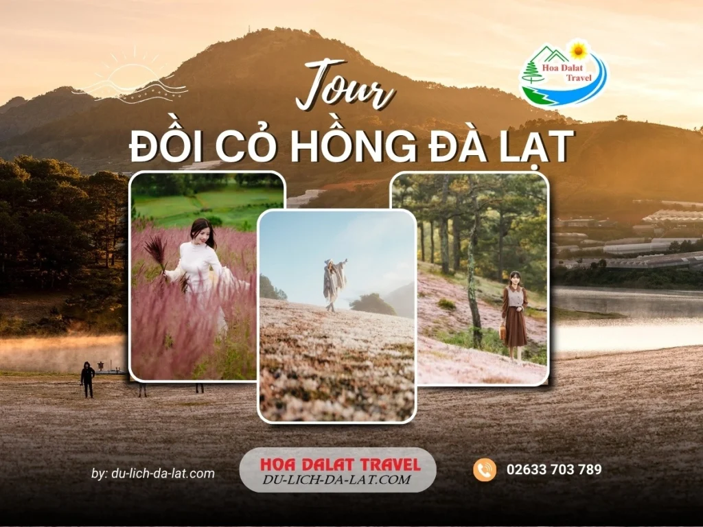 Tour đồi cỏ hồng Đà Lạt