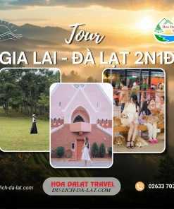 Tour Gia Lai Đà Lạt 2 ngày 1 đêm