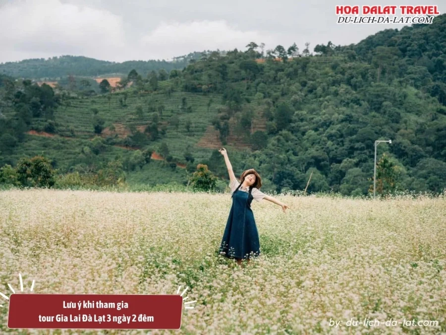 Lưu ý khi tham gia tour Đà Lạt 3 ngày 2 đêm đi từ Gia Lai