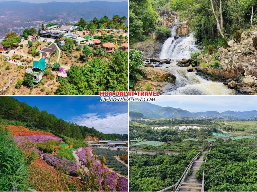 Những điểm đến nổi bật trong tour Gia Lai Đà Lạt 3 ngày 2 đêm như Langbiang, thác Datanla, Puppy Farm, Mê Linh Coffee Garden