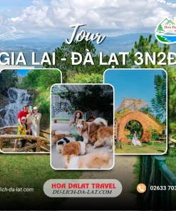 Tour Gia Lai Đà Lạt 3 ngày 2 đêm