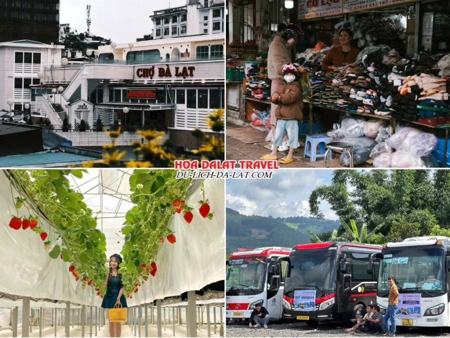 Lịch trình ngày 3 tour Pleiku Gia Lai đi Đà Lạt 3 ngày 2 đêm trọn gói: mua sắm tại Chợ Đà Lạt, tham quan tham quan Vườn dâu tây, về lại Gia Lai