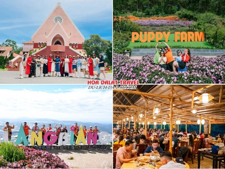 Lịch trình chiều ngày 2 tour Hà Nội Đà Lạt 3n2đ ghép đoàn tham quan nhà thờ Domaine De Marie, trang trại cún Puppy Farm, núi Langbiang, dùng bữa tối tại nhà hàng dưới chân núi Langbiang