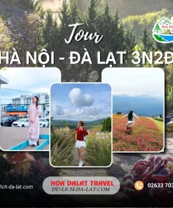 Tour Hà Nội Đà Lạt 3 ngày 2 đêm