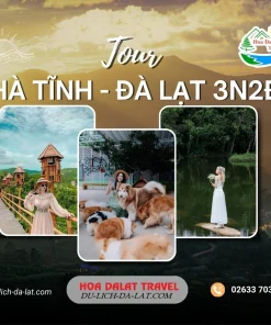 Tour Hà Tĩnh Đà Lạt 3 ngày 2 đêm