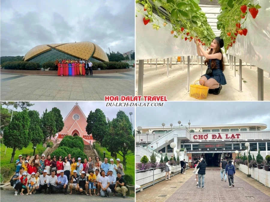 Lịch trình sáng ngày 3 tour Hà Tĩnh Đà Lạt 3n2đ trọn gói tham quan Quảng trường Lâm Viên, vườn dâu tây, nhà thờ Domaine De Marie, chợ Đà Lạt