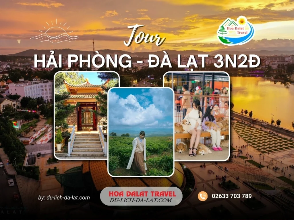 Tour Hải Phòng Đà Lạt 3 ngày 2 đêm